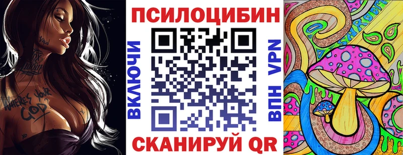 маркетплейс телеграм Балтийск Галлюциногенные грибы Psilocybe